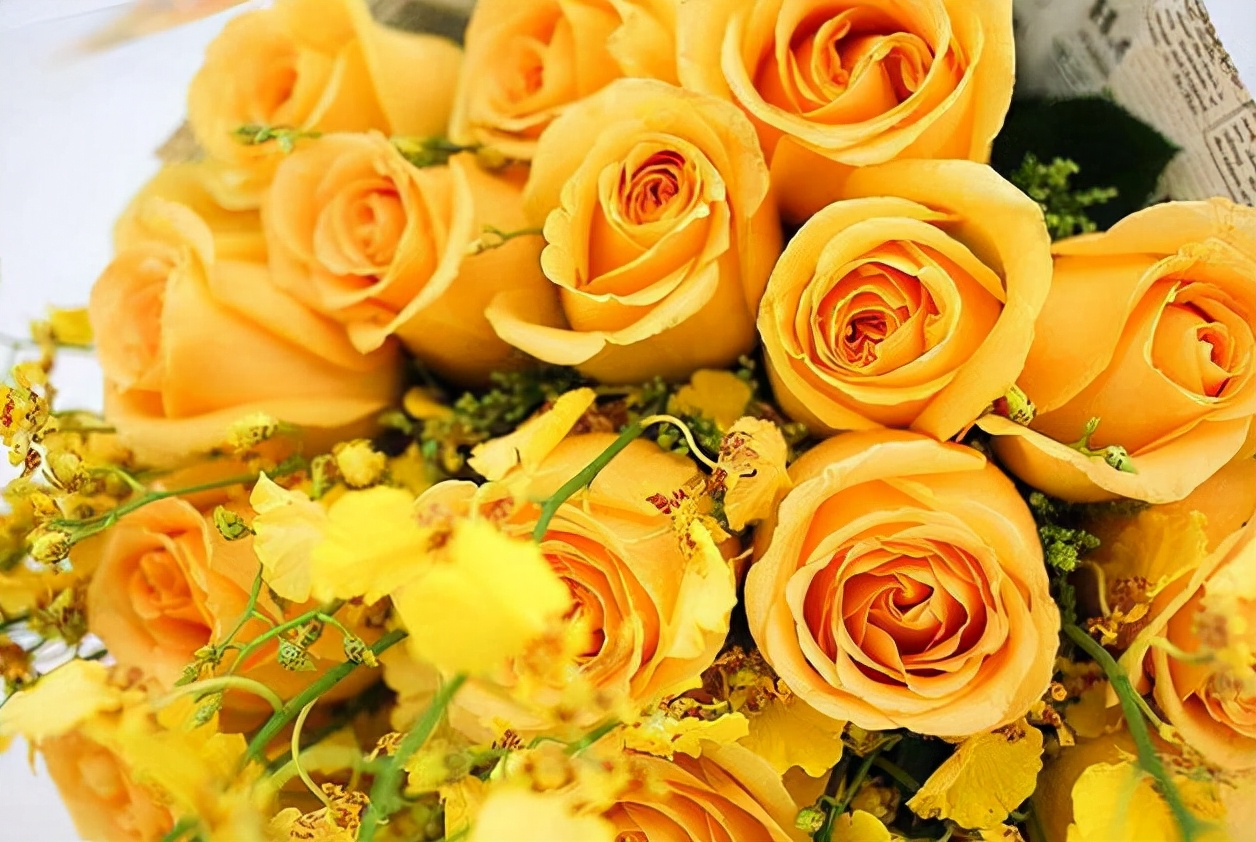 生活中常见的花语大全,生活中常见花卉花语