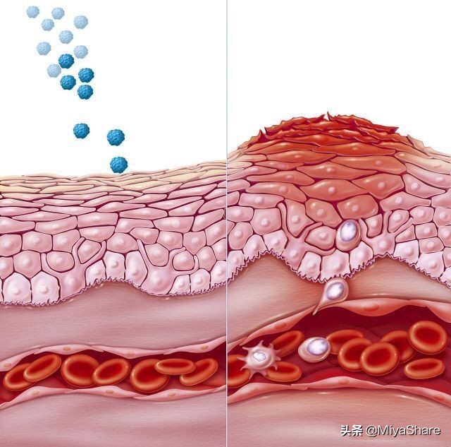 会护肤的女人难变老,会保养护肤的女人多厉害
