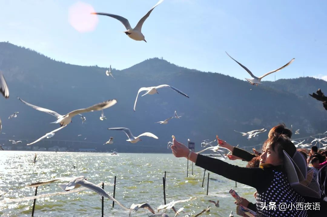 疫情爆发前后，这些景点的对比照片真是太明显了