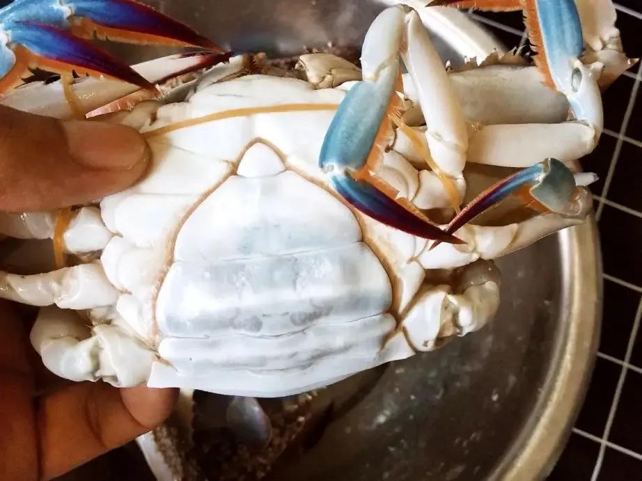 中秋节送礼送50岁男士长辈礼物,中秋节送礼送什么给长辈