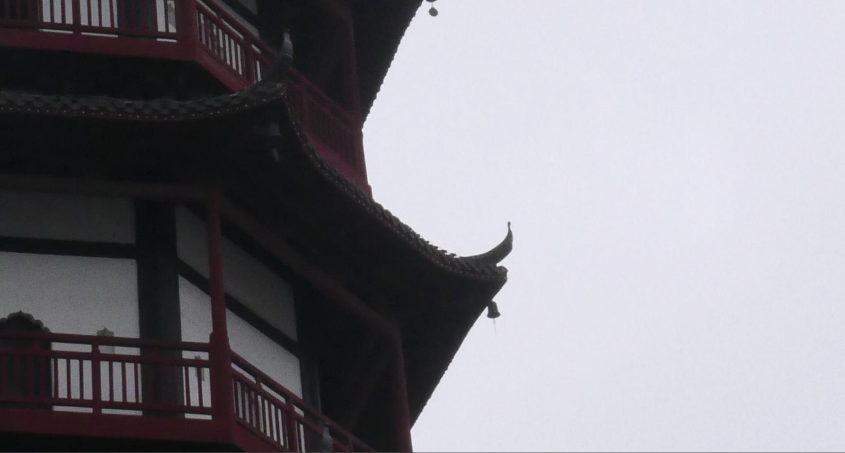 荣耀V20相机深度评测:4000万像素服过谁?