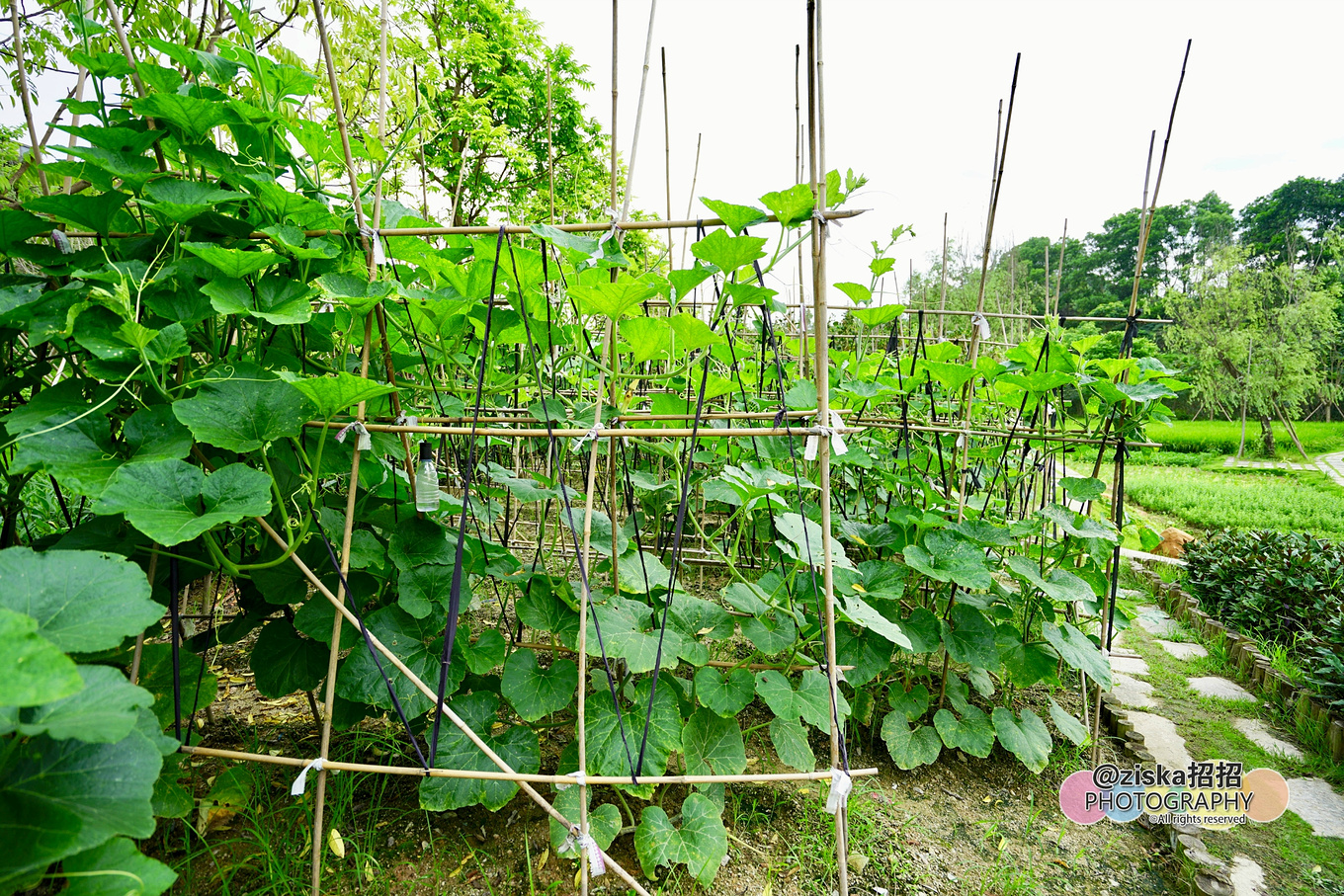 深圳市甘坑客家小镇游玩攻略,甘坑客家小镇儿童亲子乐园怎么走