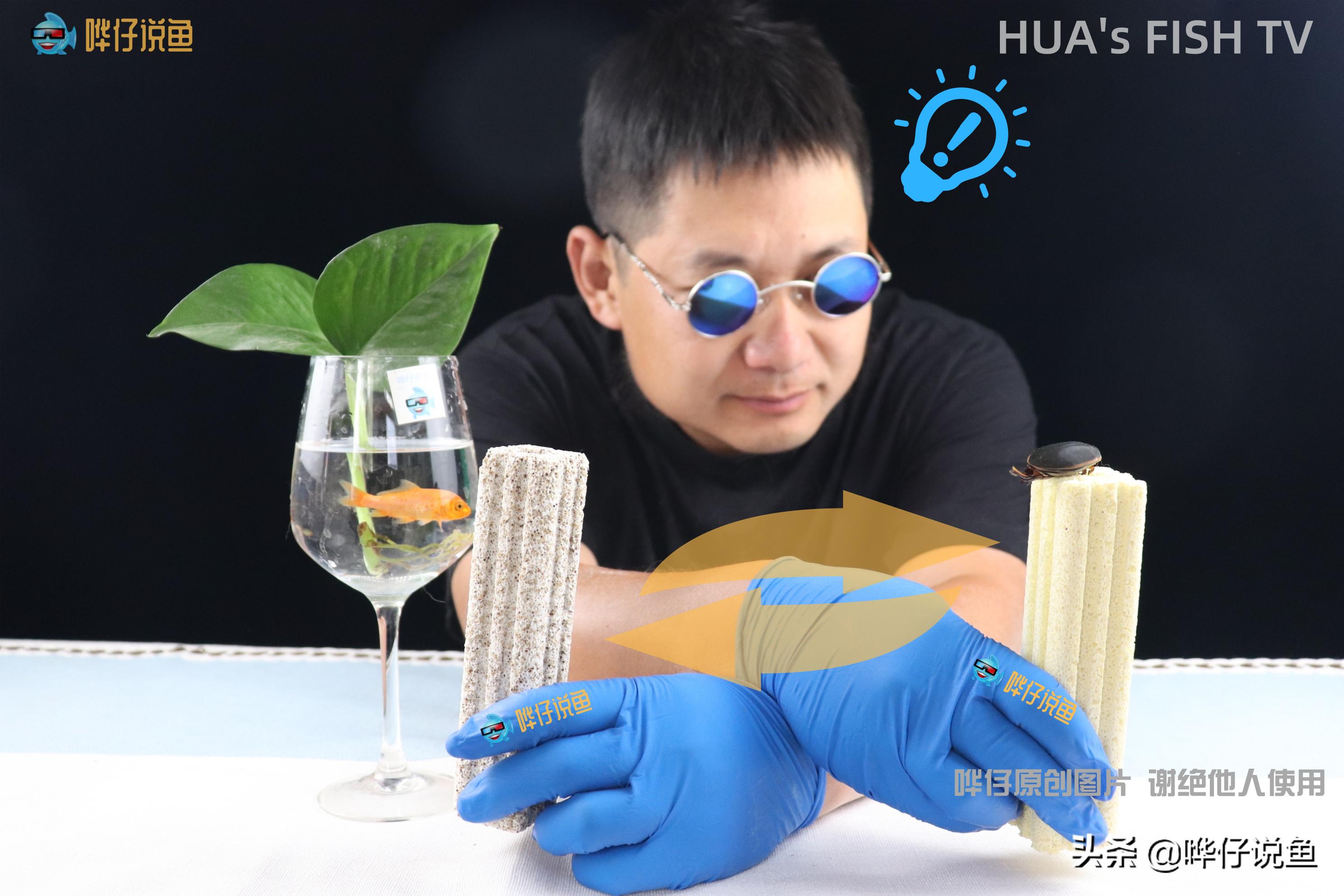 养鱼细菌屋管用吗,养鱼细菌屋能用砖头代替吗