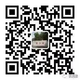 跑步爱好者们看过来~松江这场迎新健康跑开始报名啦！