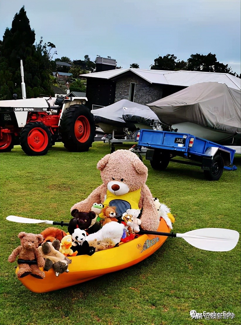 封城期间，玩偶一家的生活大揭秘