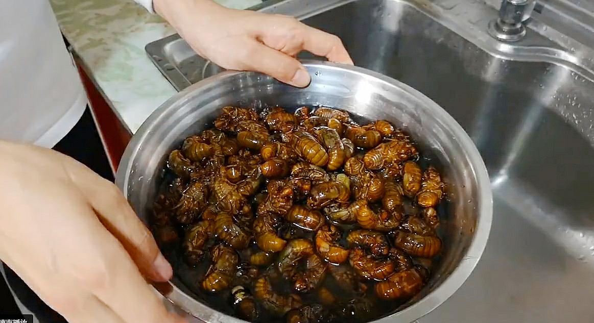 金蝉应该怎么做好吃,金蝉怎么炸又香又脆