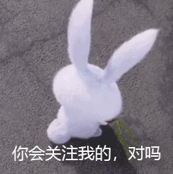 深圳单位怎么网上操作补缴社保,深圳单位社保补缴怎么操作办理