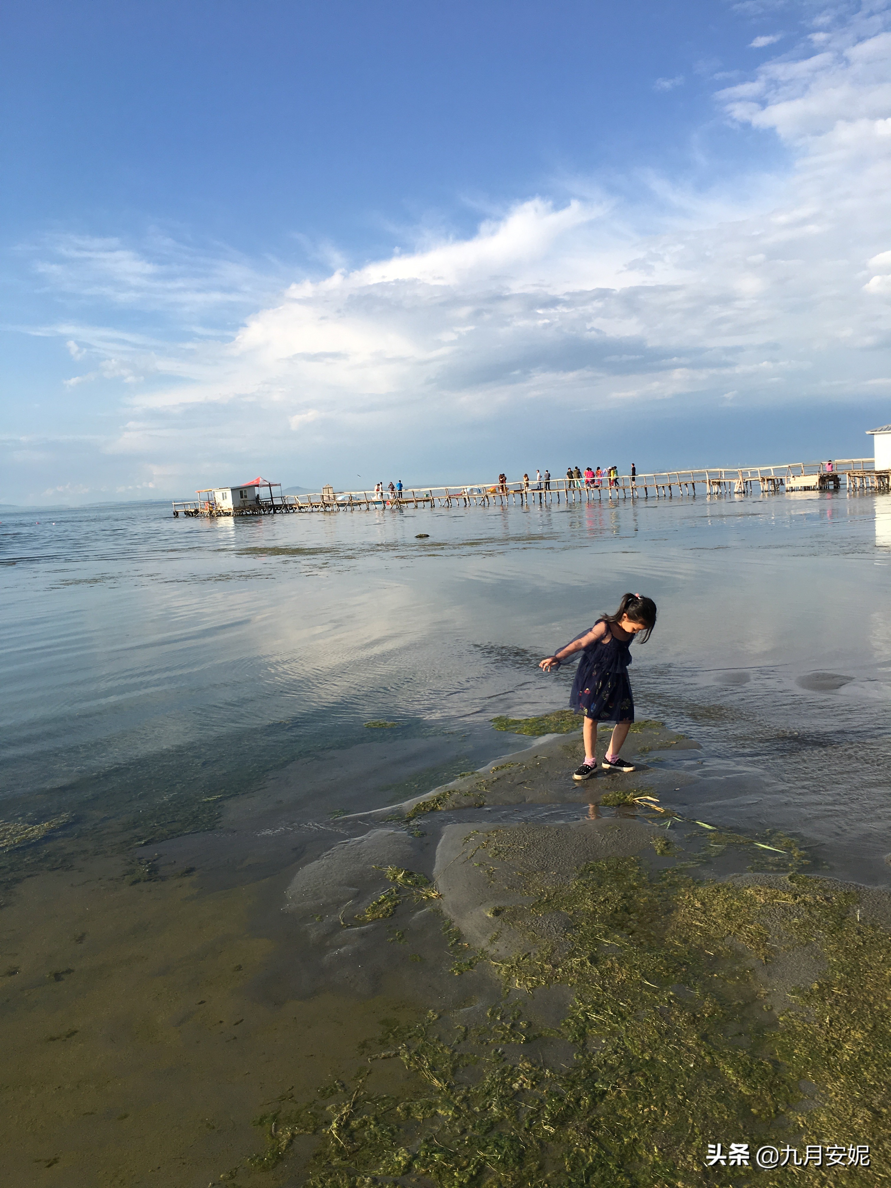 去达里湖看华子鱼洄游,达里诺尔湖华子鱼洄游在哪里