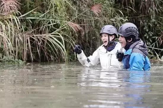 杨紫的脸、舒淇的嘴、张钧甯的腿：有野心，欲望从不表现在身体！