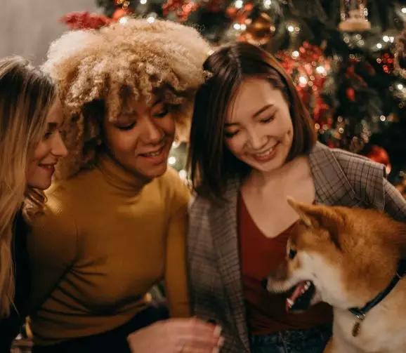 美国高中生怎么申请藤校,在国内如何申请美国藤校高中