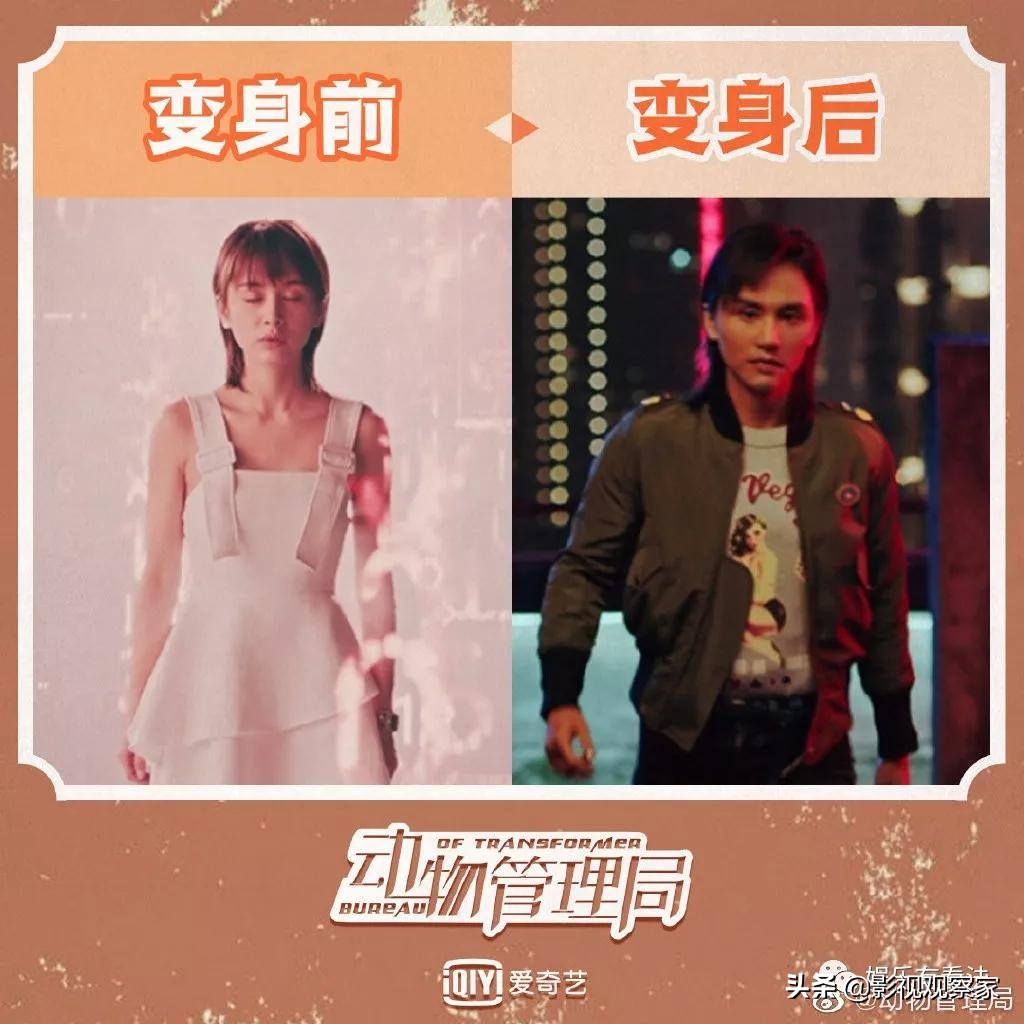 动物管理局第二季免费观看完整版,动物管理局完整版1-24集免费