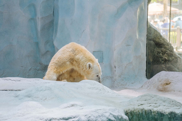 珠海长隆旅游攻略一天自由行,珠海长隆旅游攻略三天自由行