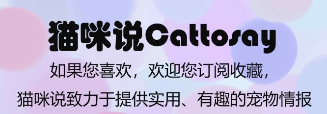 猫智力相当于几岁,猫智力排行