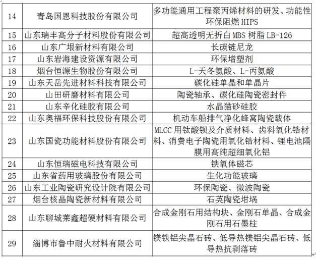 山东大型新材料哪家强,山东新材料产业有什么公司