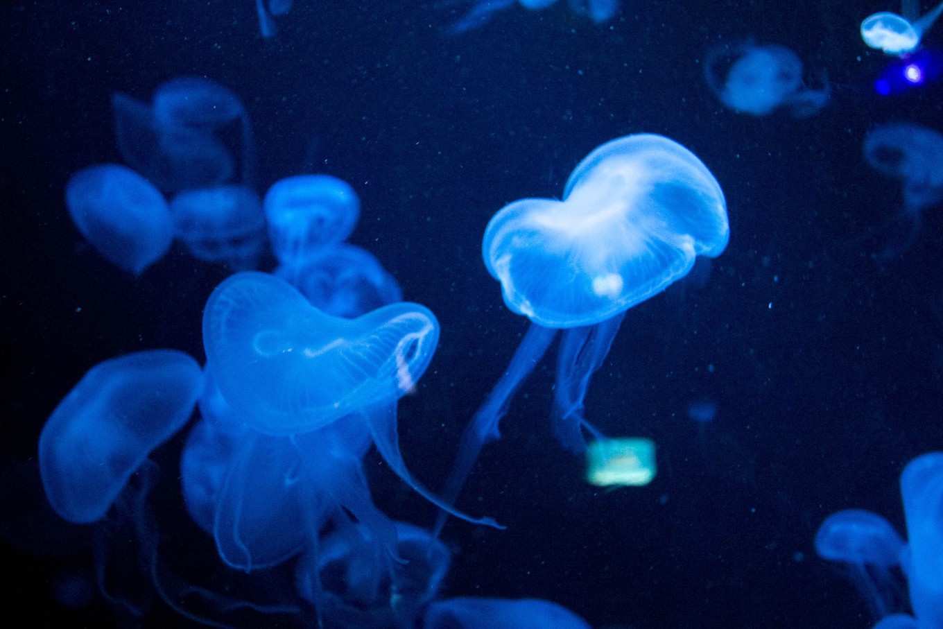 圣淘沙名胜世界攻略,请收下这份旅游攻略