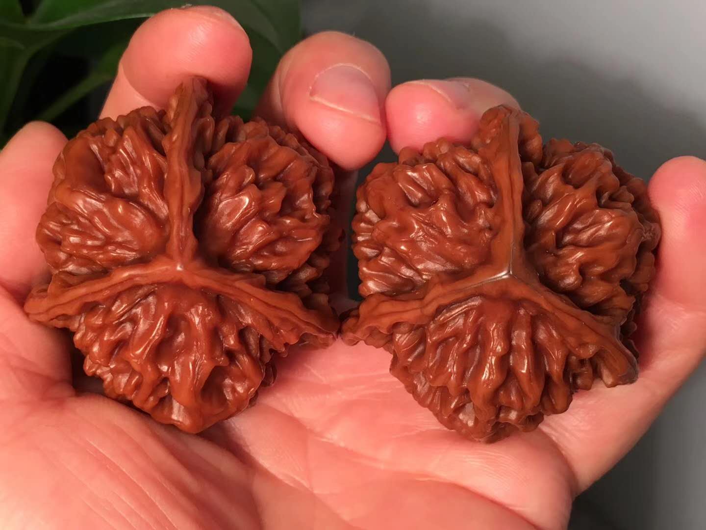 文玩核桃正确盘玩和保养方法,核桃花皮能盘出来吗