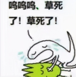 二次元特殊数字含义,二次元数字是什么梗