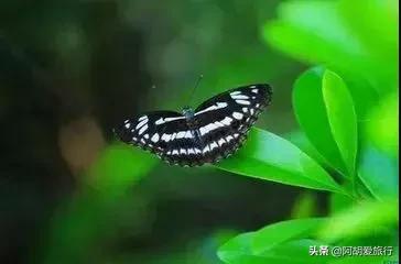 珠海最全攻略，全珠海最长的沙滩原来藏在这里