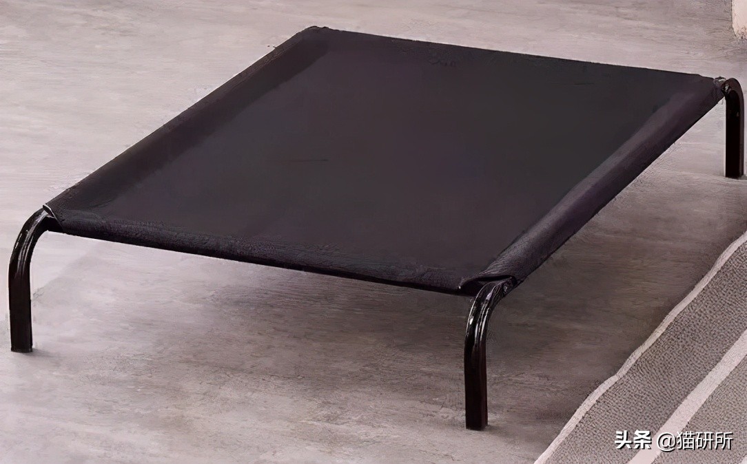 猫咪夏季好物推荐平价,猫咪防抓好物推荐