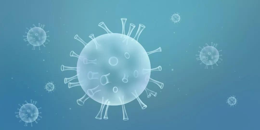 新型冠状病毒肺炎的临床诊断、治疗与流行病学研究