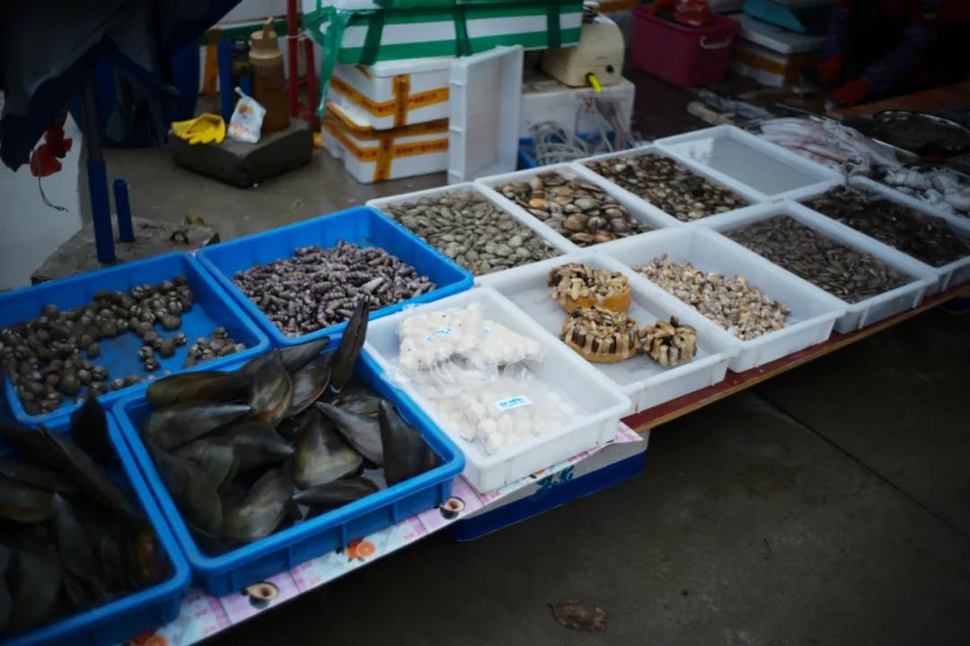 在海南岛最霸气的渔港码头,海南十大渔港码头