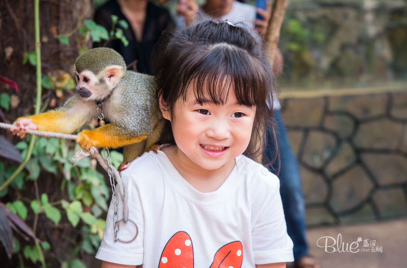 三亚千古情景区每天人流,三亚千古情每天都有表演吗