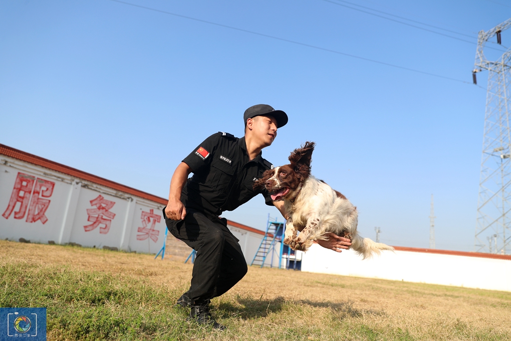 警犬训犬师的工作和生活,如何成为一名合格的警犬训导员
