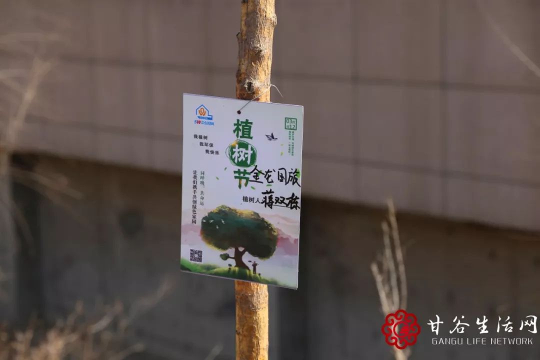 共植成长树，携手创业路——为甘谷这群创业青年打call！