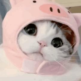 word中稿纸怎么设置,word小技巧符号