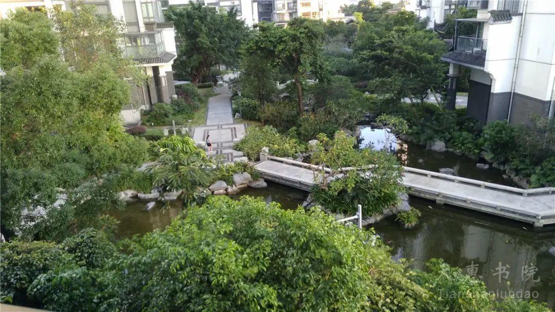 站桩师傅,站桩专修