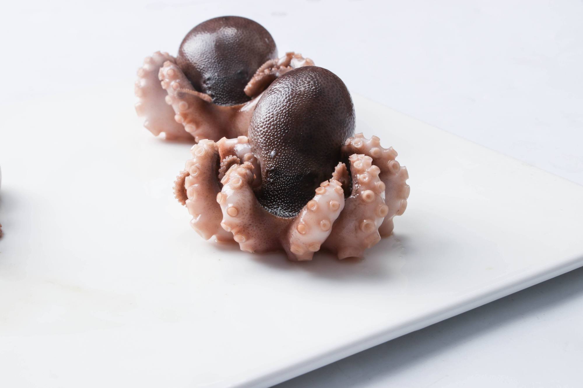 科学家发现章鱼高智商谜,八爪鱼真的是外星人吗