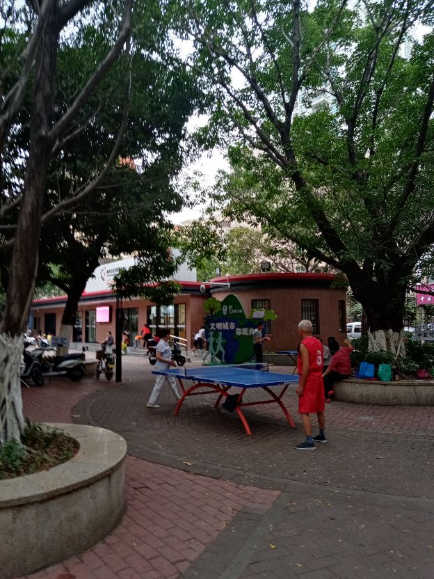 宝安最漂亮的公园,宝安区最好的公园