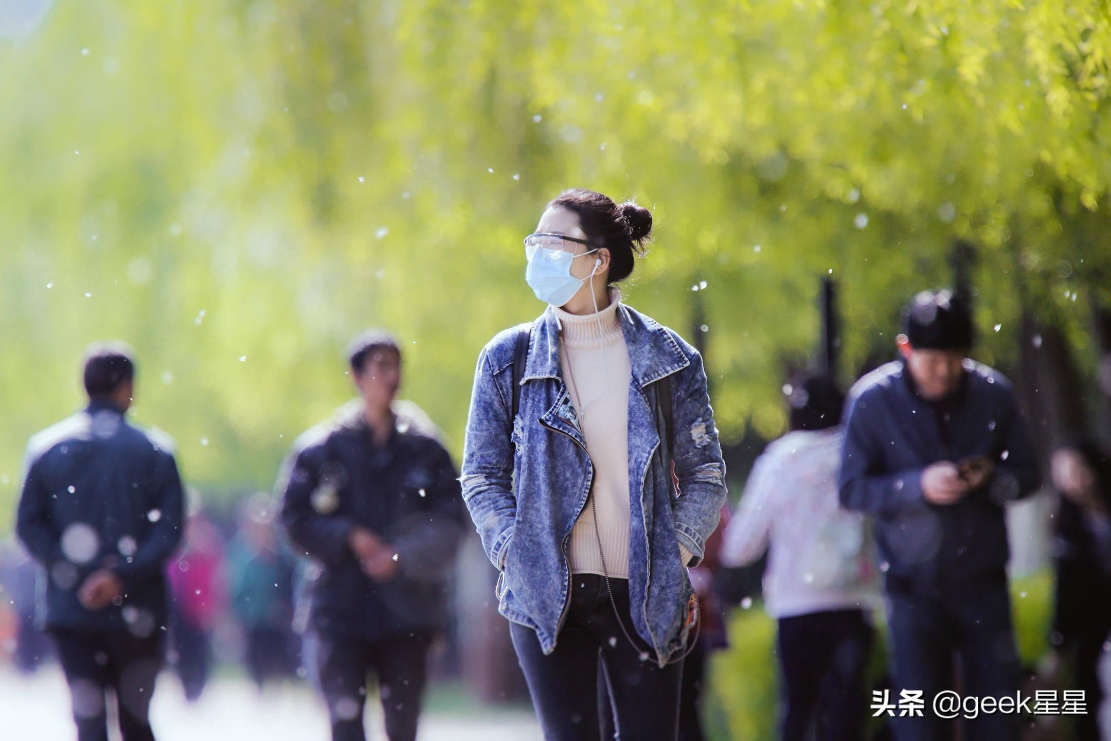 杨絮对柳絮过敏正常吗,杨絮柳絮过敏晚上咳嗽严重