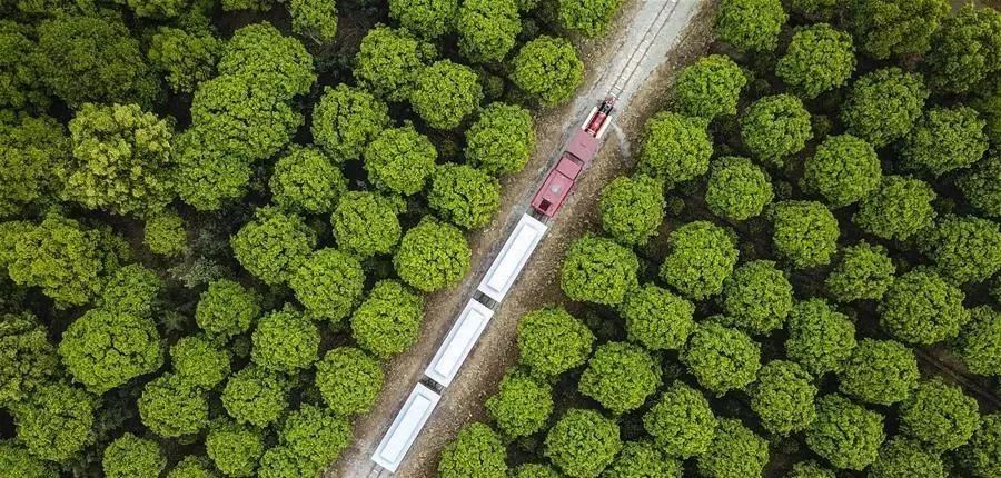 国家乡村振兴战略规划第二个五年,乡村振兴战略规划公立性卫生室