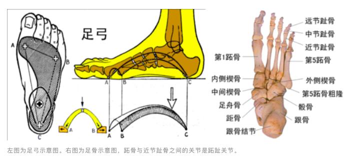 致癌老人鞋有哪些,致癌老年鞋