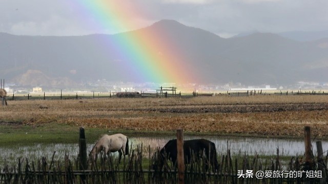 香格里拉低价旅游团禁令,跟团去香格里拉导游套路