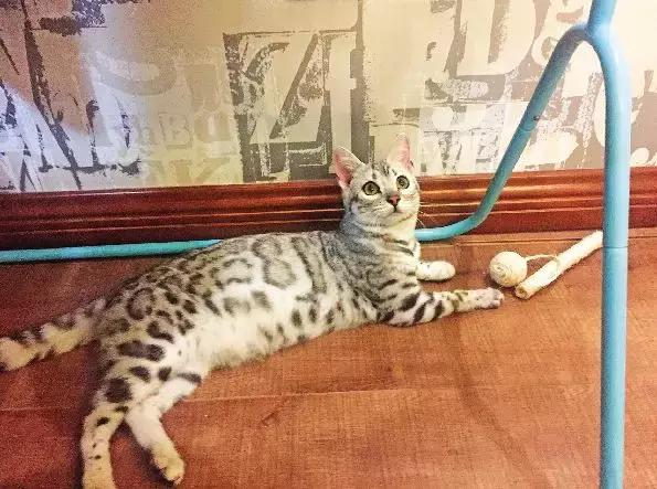 靖江微靖江,微靖江马桥