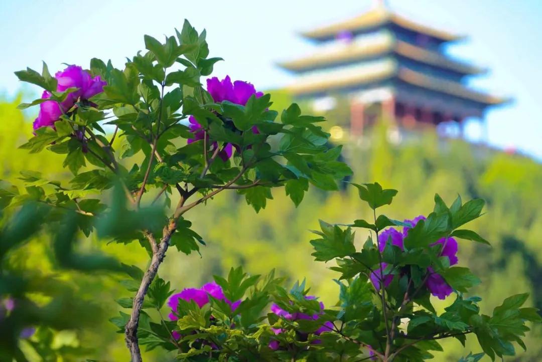 安全出行宝典,北京安全出游好去处