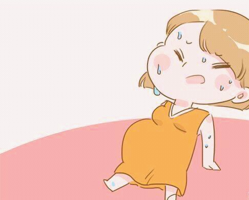 生宝宝顺产接生过程,生小老虎宝宝的过程