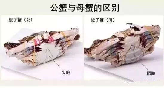 秦皇岛海鲜攻略,秦皇岛淡季海鲜攻略