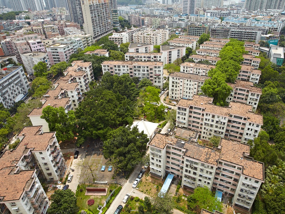 500万在南山买什么房子好,南山500元以内的房子