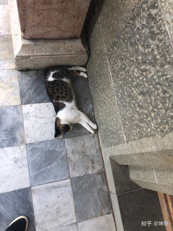 俄罗斯人的真实生活是什么样的,俄罗斯是个怎样的国家