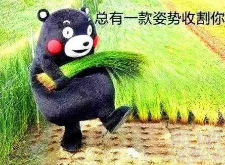 给小白介绍服务器,游戏托有什么用