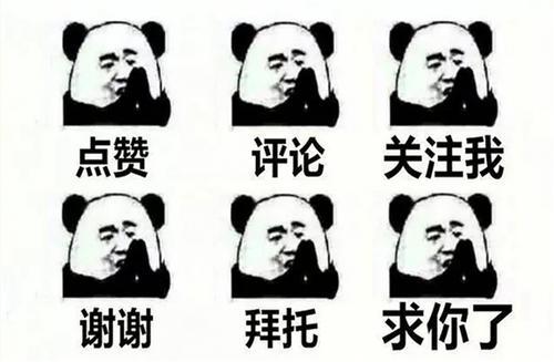 母猪高产分享,如何选择高产母猪