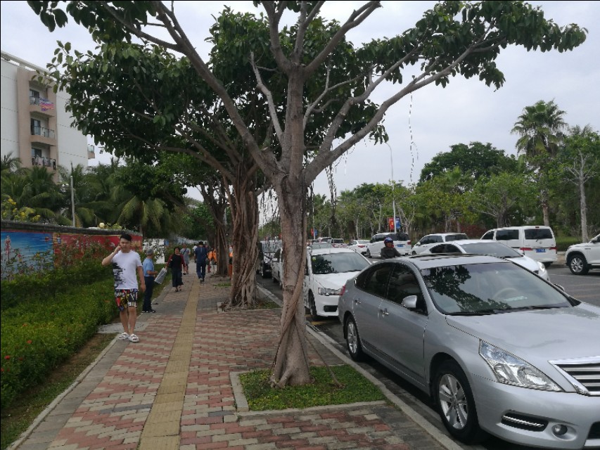 大批候鸟老人到海南三亚养老,海南三亚老人颐养院