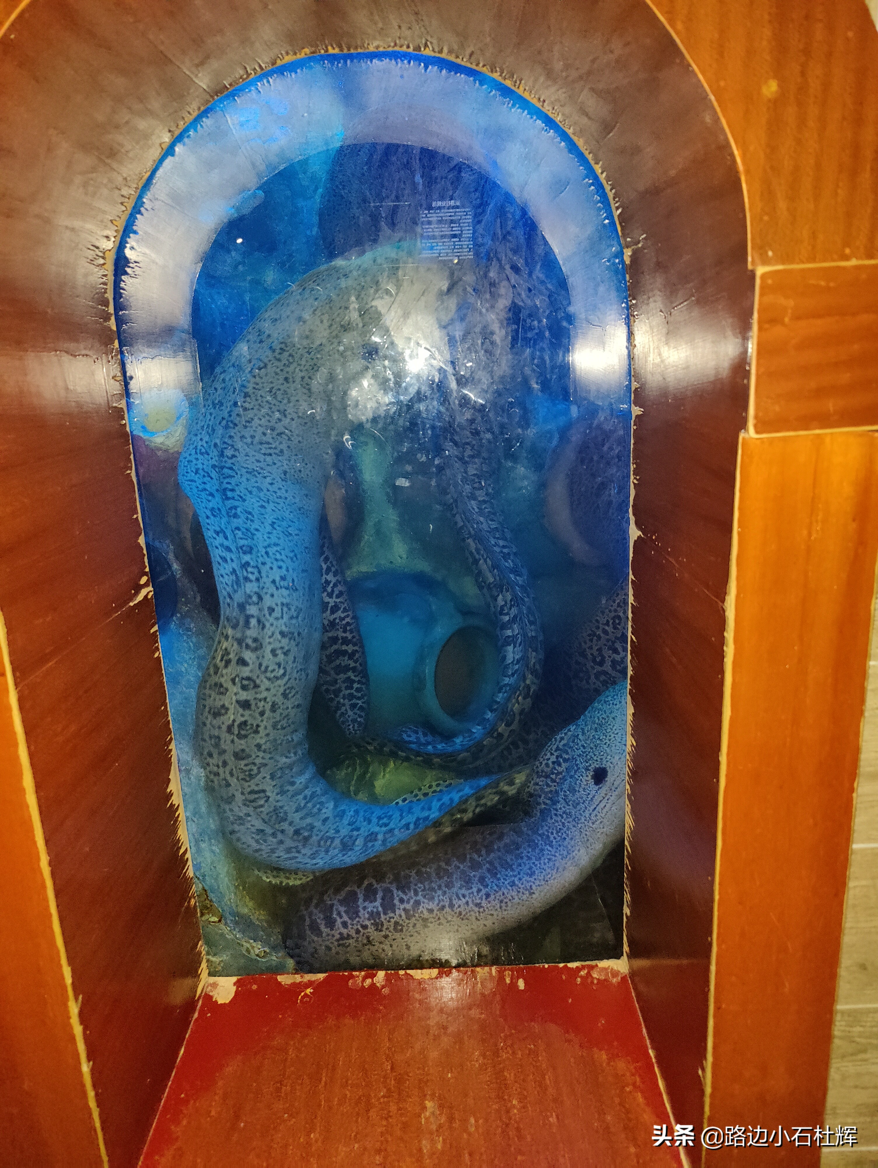 北京海洋馆游玩一览表,北京太平洋海洋馆海底世界