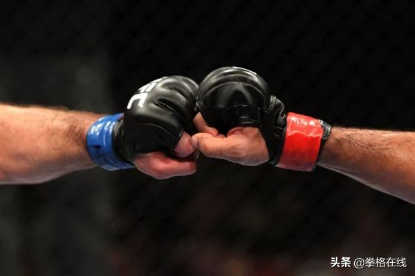 mma最美拳手对打,mma拳套和拳击拳套