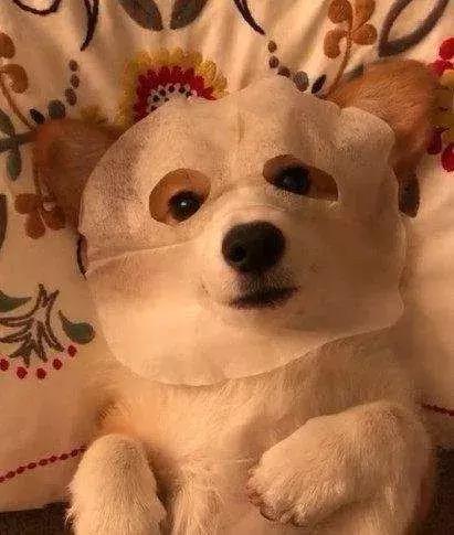 男孩子用的bb霜,男用bb霜哪个好