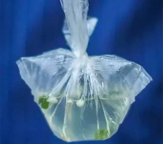 请不要这样子,请不要这样离开我