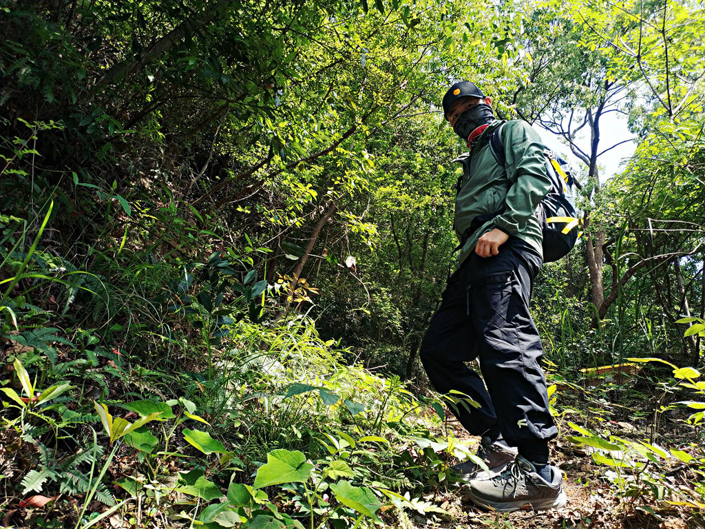 再次刷新了我的认知,再次刷新我对世界的认知